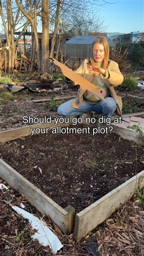 10K views · 348 reactions | Should you be going no dig at your...