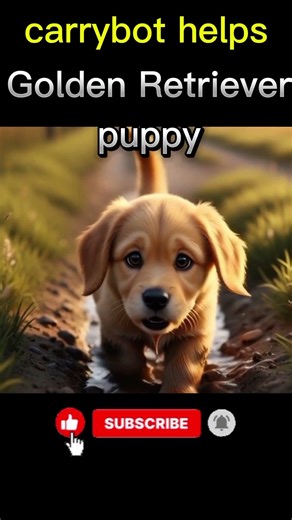 super robot rescue golden retriever puppy | cute puppy wholesome moments | heartwarming animal video
