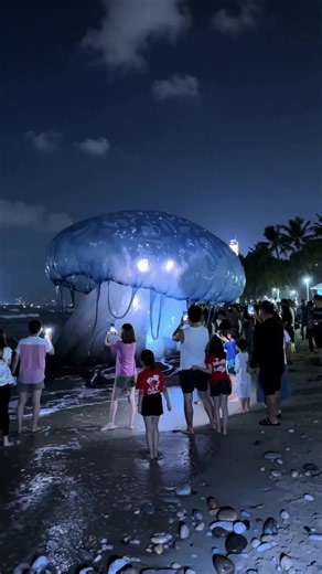 Giant Glowing Jellyfish Washes Ashore, Surprising Crowd