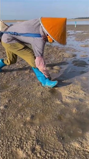 There is a lot of fun in the sea: shellfish picking skills and precautions