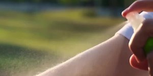 Spring Pest Prevention: Local expert shares tips to keep rodents and insects out