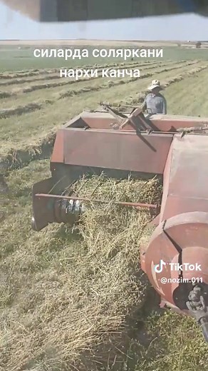 Cutting and Processing Hay with Agricultural Machinery