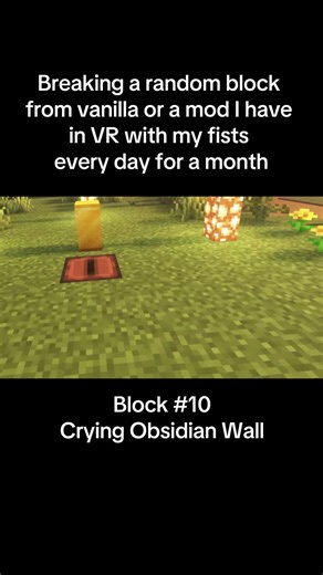 Breaking a Random Block in VR Every Day for a Month