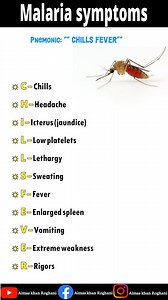 53K views · 377 reactions | MALARIA 烈 symptoms | Almas Khan Roghani | Facebook