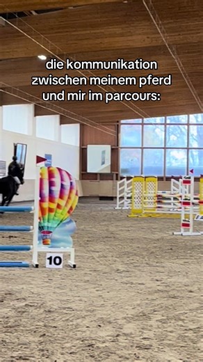 Communication Between My Horse and Me in the Course