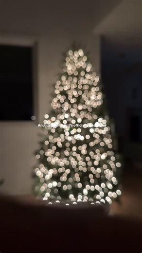 It’s timeee! 🎄✨❄️ It’s beginning to spark a lot like Christmas and an icicle tree was the inspiration this year! Feel like I need more icicle ornaments but loving how it’s looking so far! 🌲🤍💫 - #christmasishere #christmastreedecorating #icicles #christmasdecorideas #christmastreeinspo #holidaydecorations Icicle Christmas tree, minimalist Christmas, cozy Christmas, cozy home, simple holiday ideas, glass Christmas tree, Christmas decoration ideas | Gosuami - Digital Creator