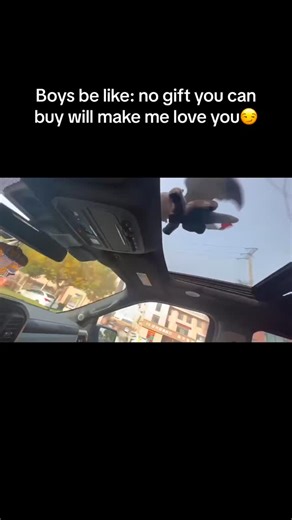 Toothless Plush for Car on Instagram: "Add adventure to your car with Toothless plush. 🐲 #AdventureDrive #PlushCompanion #ToothlessInCar #FantasyVibes #CarStyle"