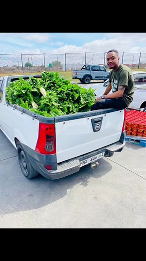 Exploring Jane Furse: A Glimpse into Village Life