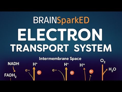 The ETS with diagram part 2