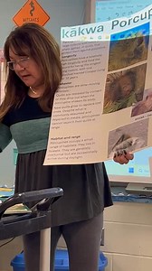 22K views · 628 reactions | Part 4. Normally I would have a beaver...