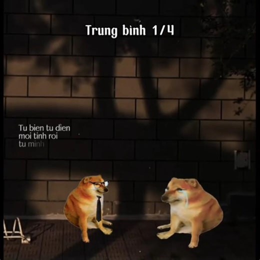 Trung bình 1/4#xh #shorts #chems