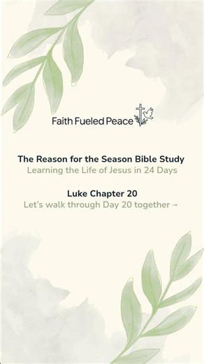 Luke 20 | Reason for the Season Bible Study | The Life of Jesus in 24 Days | Faith Fueled Peace