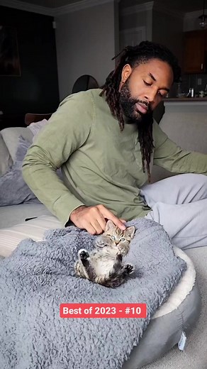 77K views · 6.3K reactions | Another year, another round of kittens to celebrate! Starting off our top 10 Reels of 2023 countdown with this peaceful moment from former foster kitten, Rainy. Original Caption: Rainy is too much for words 凉 #cats #kittens #newyear #bestcats #cutecats #cuteanimals | Fostering kittens | Facebook