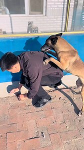312K views · 1.3K reactions | Genius Pot Trap Prank on My Dog! You Won't Believe What Happens! | Entertaining World | Facebook