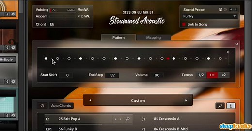 Session Guitarist STRUMMED ACOUSTICの使い方 【Native Instruments】