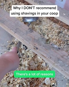 Upgrade your coop and your routine with Grubbly Farms Hemp Bedding! Eco-friendly and hyper absorbent, this long lasting, all natural material creates a cozy haven for your flock while saving you time and money 🐔🌱 | Grubbly Farms