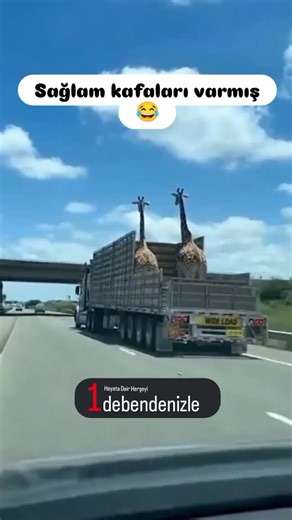 Alan Turing, Marvin Minsky, Allen Newell, Herbert A. Simon. McCarthy, Minsky, Nathaniel Rochester, -Claude E. Shannon ile birlikte "yapay zekayı" icat ettiler. McCarthy 1950'nin sonlarında Lisp dilini icat etti. Lambda kalkülüs'e dayalı olan lips 1960 yılında yayınlanmasından sonra yapay zeka uygulamaları geliştirilmesi için tercih edildi. 1958'de lipsteki sorunları düzeltebilmek için Çöp toplama methodunu icat etti. #kesfet #fyp #komikvideolar #komedi #keşfetteyiz #mizahtürkiye #keşfet #eğlence