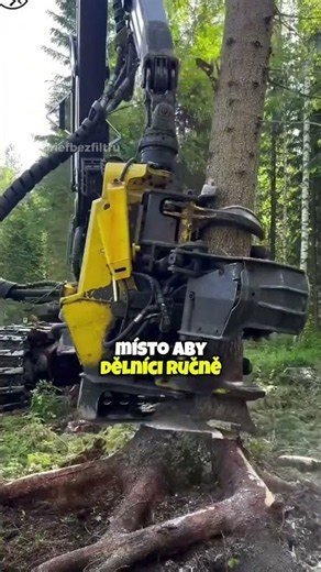Tento stroj pokácí a zpracuje strom za pár sekund 🌲