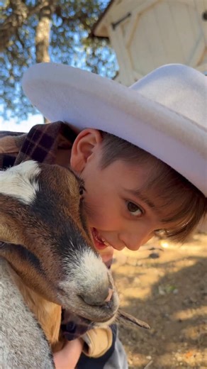 Ana Negru on Instagram: "Saying goodbye to our 9 Nubian goats today 🤍 Milking the ladies for the very last time and letting the kids ride the baby goats one more time. Abdiel whispered “be good, okay?” to his favorite baby goat, Gucci, and then softly repeated “I love you” over and over. He told me all he wants for his birthday next year is to see the goats again. 🥹🙏🏻 These sweet ladies and their precious babies have been such a gift to our family. Thank you for years of the yummiest milk, t