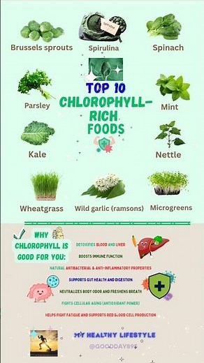 🏆Top 10 Natural Sources of Chlorophyll🌿