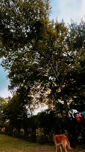 Always bring your tree gear on an estimate! 20 minute job on to the next one! Ouachita Valley Arborist LLC | Cameron Craig