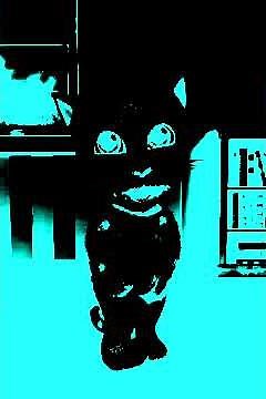 Talking Ginger tom's little nephew in IFOE Effect