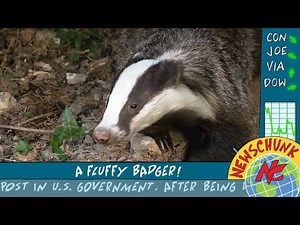 Random Animation Live Action Compilation Part 5