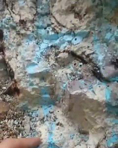 Magnificent Mona Lisa Turquoise!