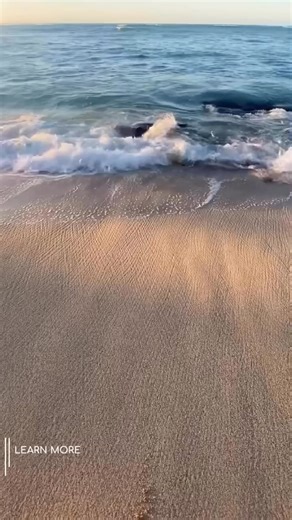 7.1K views | Somatic Experiencing® International trains professionals...