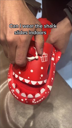 Can You Wear Shark Slides Indoors?