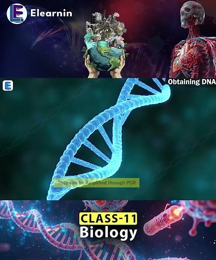 DNA Fingerprinting Step 1 & 2 Explained 🧬 | DNA Collection & Fragmentation