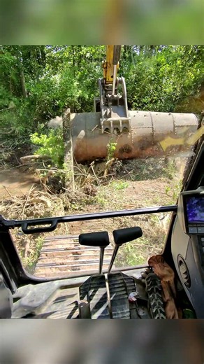 How Long Has That Been There? #shorts #excavator #landclearing #drainage
