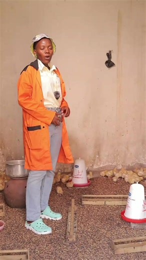 Understanding Space Requirements for Poultry Farming