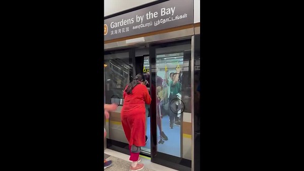 Passenger gets stuck while trying to squeeze through closing train doors