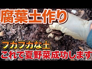 【無料で作れる】簡単3ステップで腐葉土を作ることで夏野菜にとっていいことが