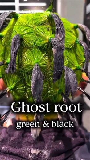 C&S 🌍 on Instagram: "Green + Black Ghost Roots by @lipps_koki 👻🔋 Grab huge discounts across all hair colour brands during our PRE–Black Friday Sale! 🤌 #chrisandsons"