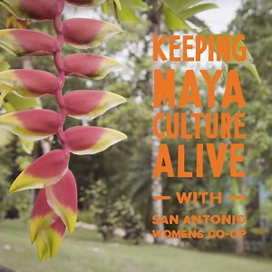 These women are not only providing jobs and supporting their community, they’re passing on the traditions of the Maya culture to the next generation. | Travel Belize