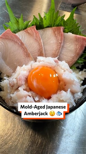 Mold-aged Japanese amberjack 😲🐟 | Twisted