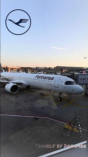 Lufthansa Economy Review