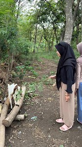 lg menggembala kuda | Kar