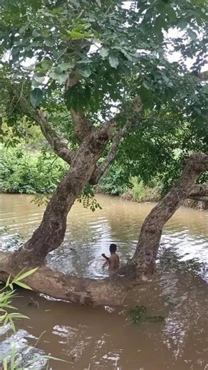 i narrowly escaped this today...chai God is wonderful