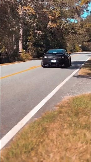 Loud Ford Mustang Steeda Exhaust ASMR - Cruising on Backroads!