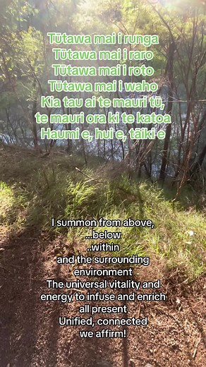 Learn karakia with me on my reo journey ✨Beautiful short karakia tīmatanga to start the day🤍 Āio ki te aorangi✨#Maori #maoritok #karakia #healing #prayer #nz #fypage #fyp