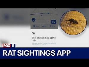 App offers info on rat sightings in NYC subway