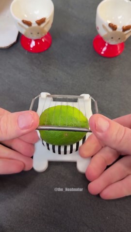 Lime vs. egg slicer challenge
