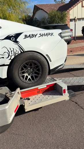 Babyshark on Instagram: "🦈 drum roll please 🥁 . . . . #zl1camaro #zl1 #cammed #chevy #fyp #carsofinsta #babyshark #cordesperformanceracing #lt4supercharged #arizona #phx"