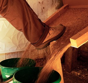 2.5M views · 16K reactions | Look at these surprising plant hacks to make them bloom. | 5-Minute Crafts Family | Facebook