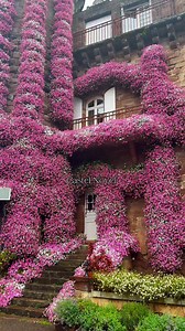 2.1K views · 100 reactions | Château de Castel Novel, located in...