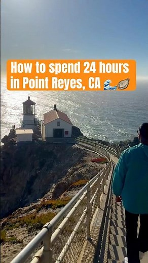 The Ultimate Point Reyes Day Trip You Can’t Miss #travel #shorts