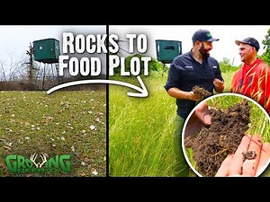 80 Acre Hunting Paradise! - Converting Rocky Soil into Productive Food Plots - Consulting Follow Up